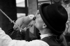 Parrot-show-Kasper-Jensen-2020-18